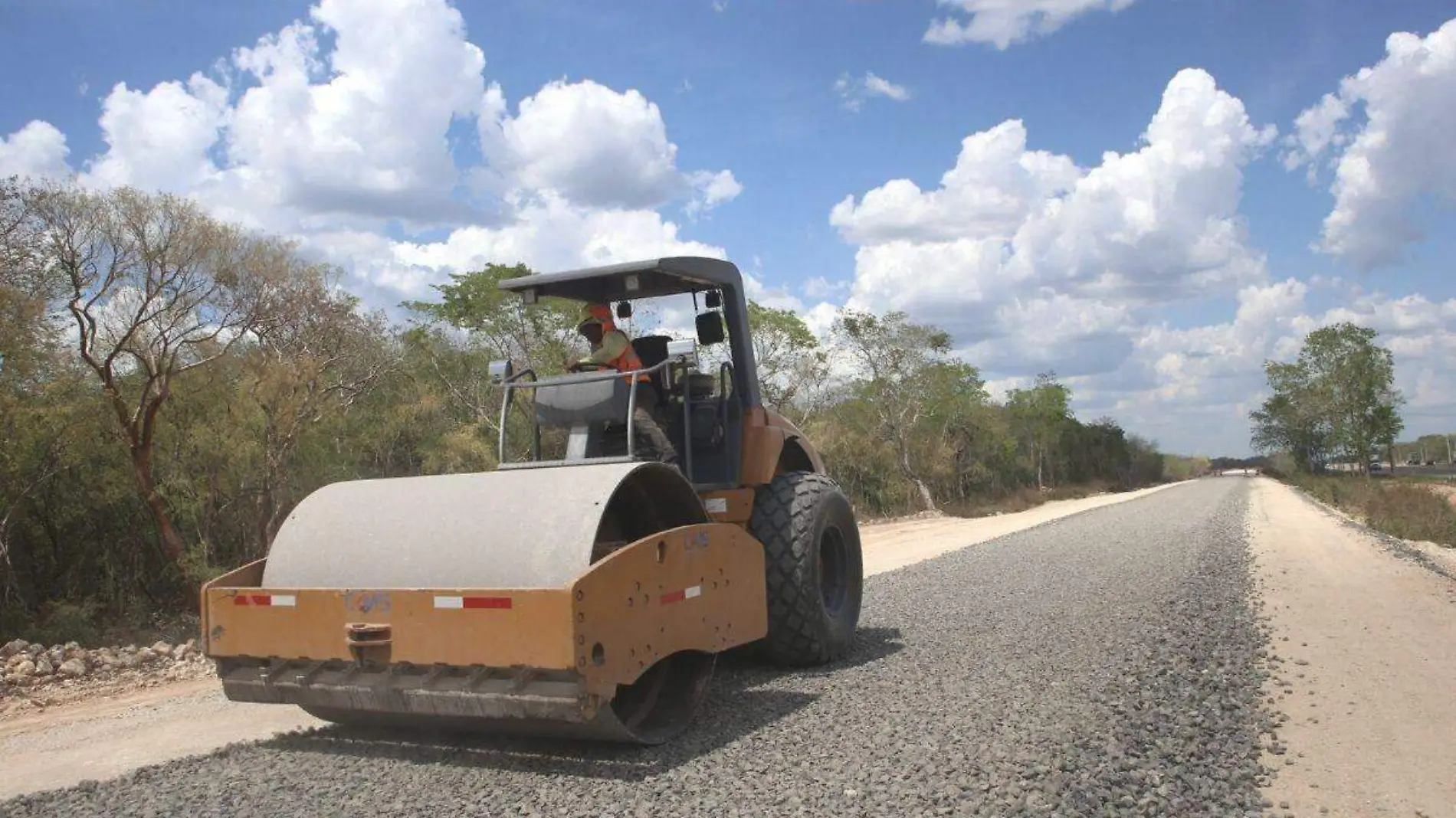 Preparan denuncia penal en NL contra construcción del Tren Maya por ecocidio